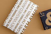 Mestiza Sans, a Sans Serif Font by Lechuga Type (Thumbnail 16 of 19)