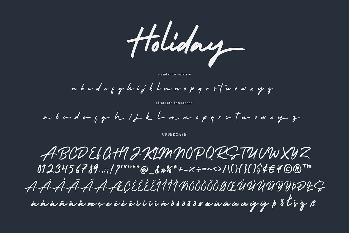 Holiday - Script Handwritten Font, a Script Font by alphArtype (Photo 11 of 13)