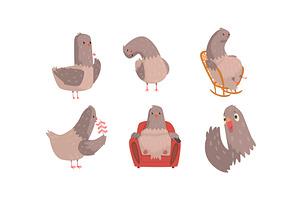 Funny Grey Pigeons Cartoon, an Animal Illustration by TopVectors