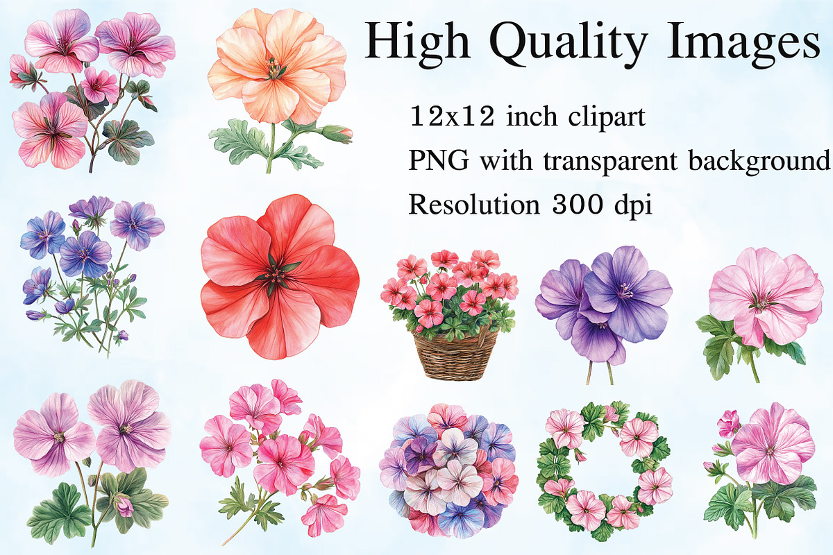 Geranium Flower Watercolor Clipart, an Illustration by Craft Nest (Photo 2 of 5)