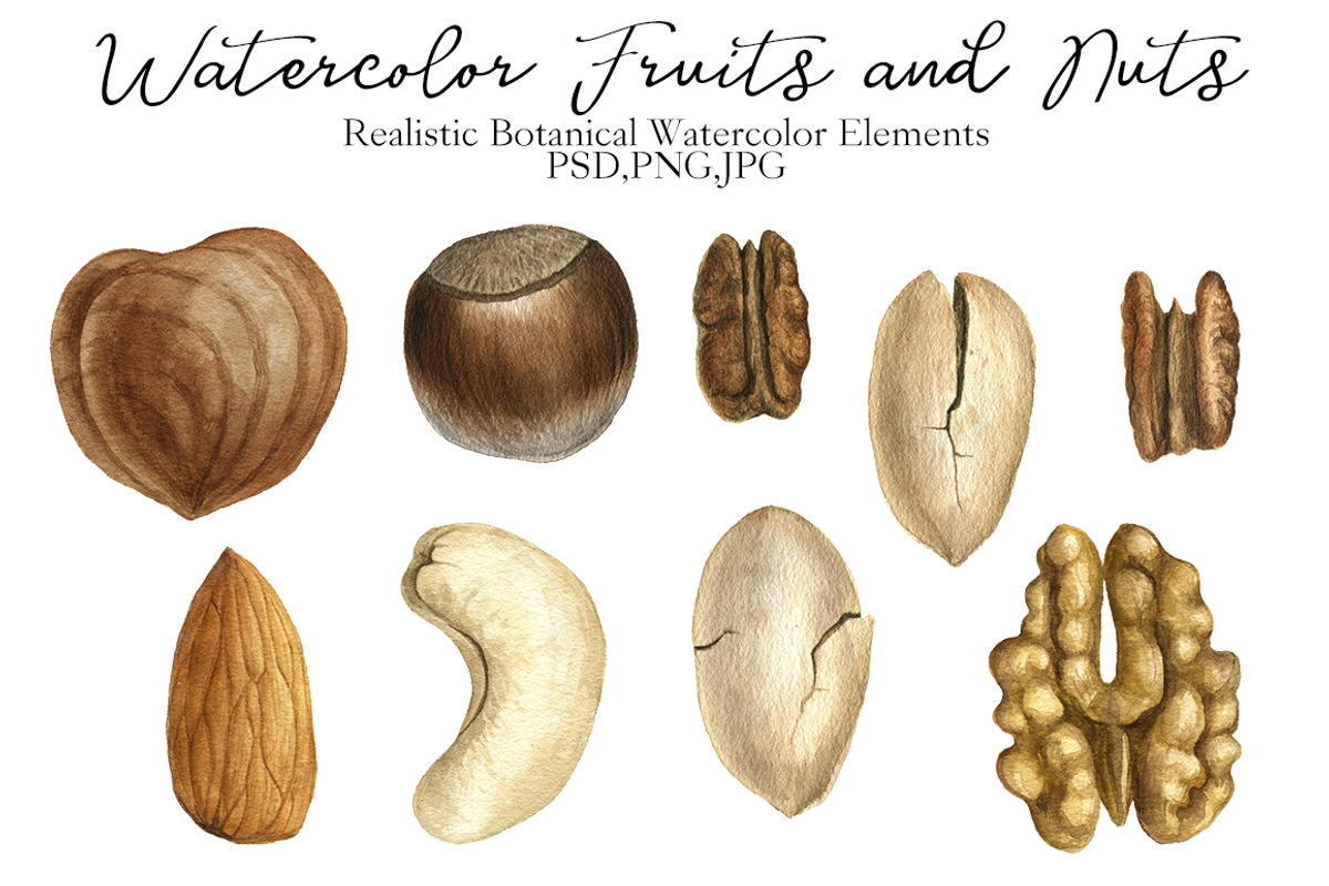 Watercolor Fruits and Nuts, an Object Graphic by cat_arch_angel (Photo 3 of 6)