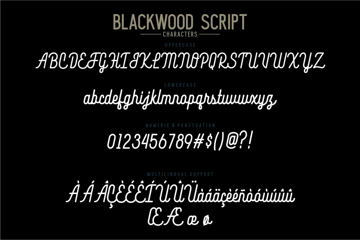 Blacklwood, a Sans Serif Font by Secondivison Supply (Photo 9 of 10)