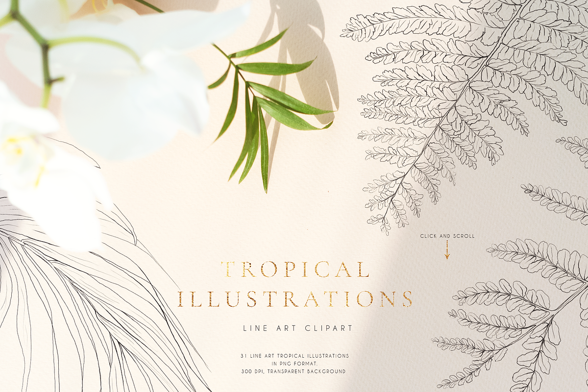 Tropical paradise. Line art set, an Illustration by Pamyatka Shop (Photo 9 of 13)