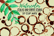 Watercolor Coffee Stains and Stalks, an Illustration by Graphobia (Thumbnail 1 of 10)