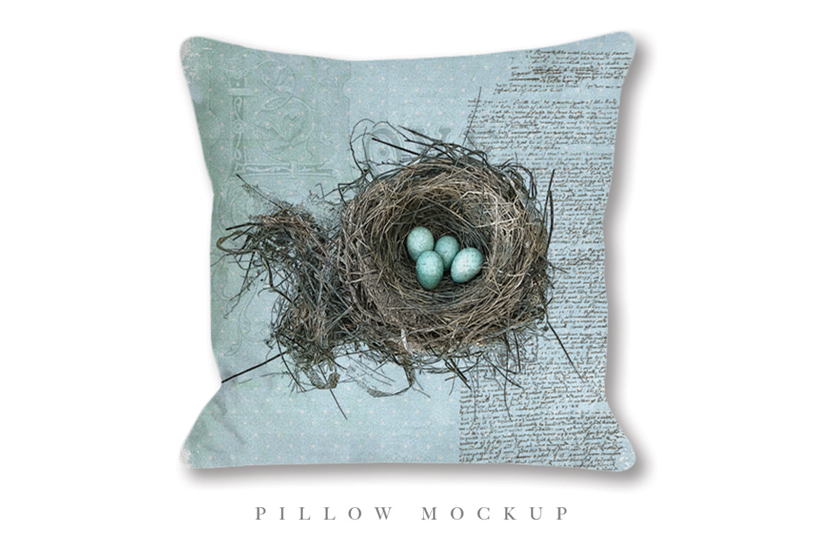 Robin's Nest Vector Illustration, a Decorative Illustration by Digital Art Downloads (Photo 3 of 3)