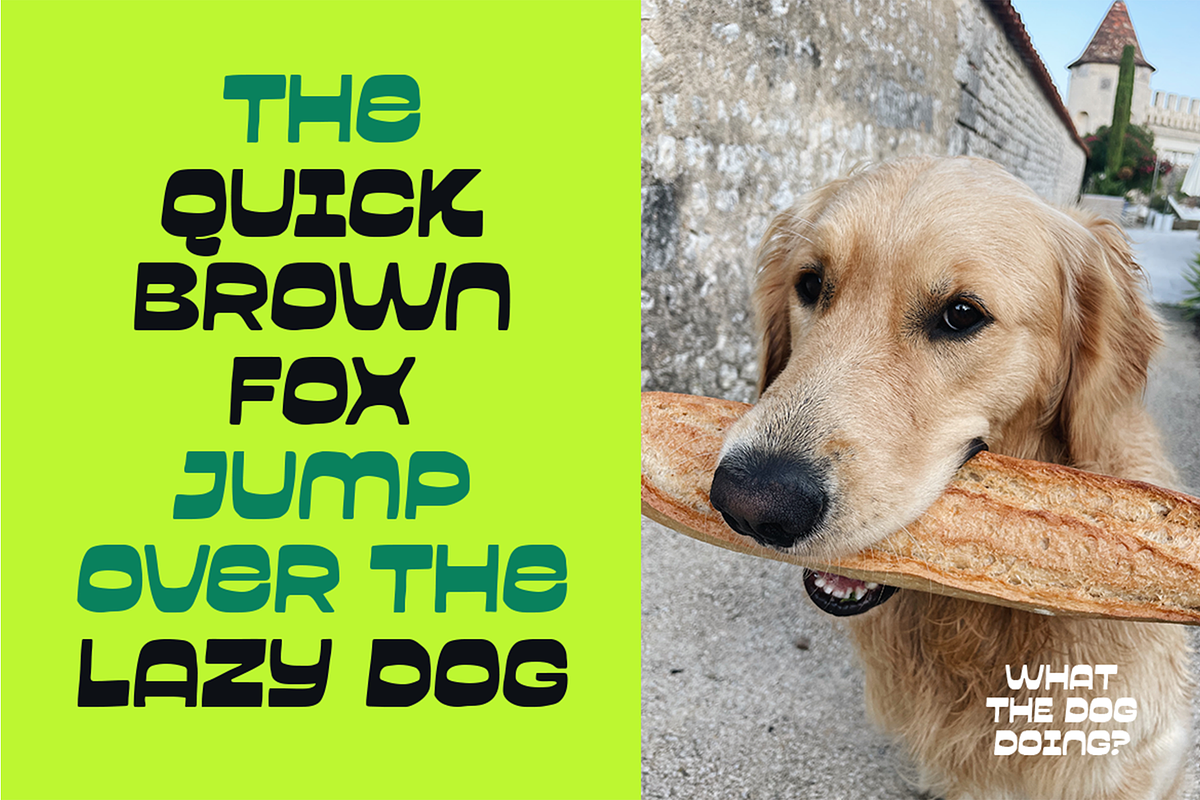 Garpit Organic Reverse Contrast Font, a Sans Serif Font by Pekotype (Photo 8 of 16)