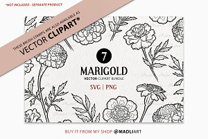 Marigold Flower Procreate Stamps