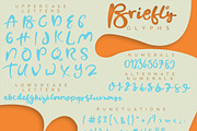 Briefly Script, a Script Font by Yasir Ekinci (Thumbnail 9 of 9)