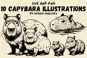 Capybara Illustration Bundle SVG PNG, an Animal Illustration by Ray Crimson