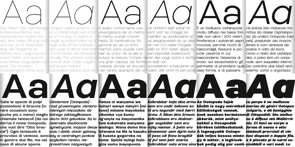 Nemorosa, a Sans Serif Font by Octotypo (Photo 6 of 7)