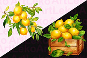 Lemons Watercolor Clipart, a Food Illustration by LekoArt (Thumbnail 7 of 10)