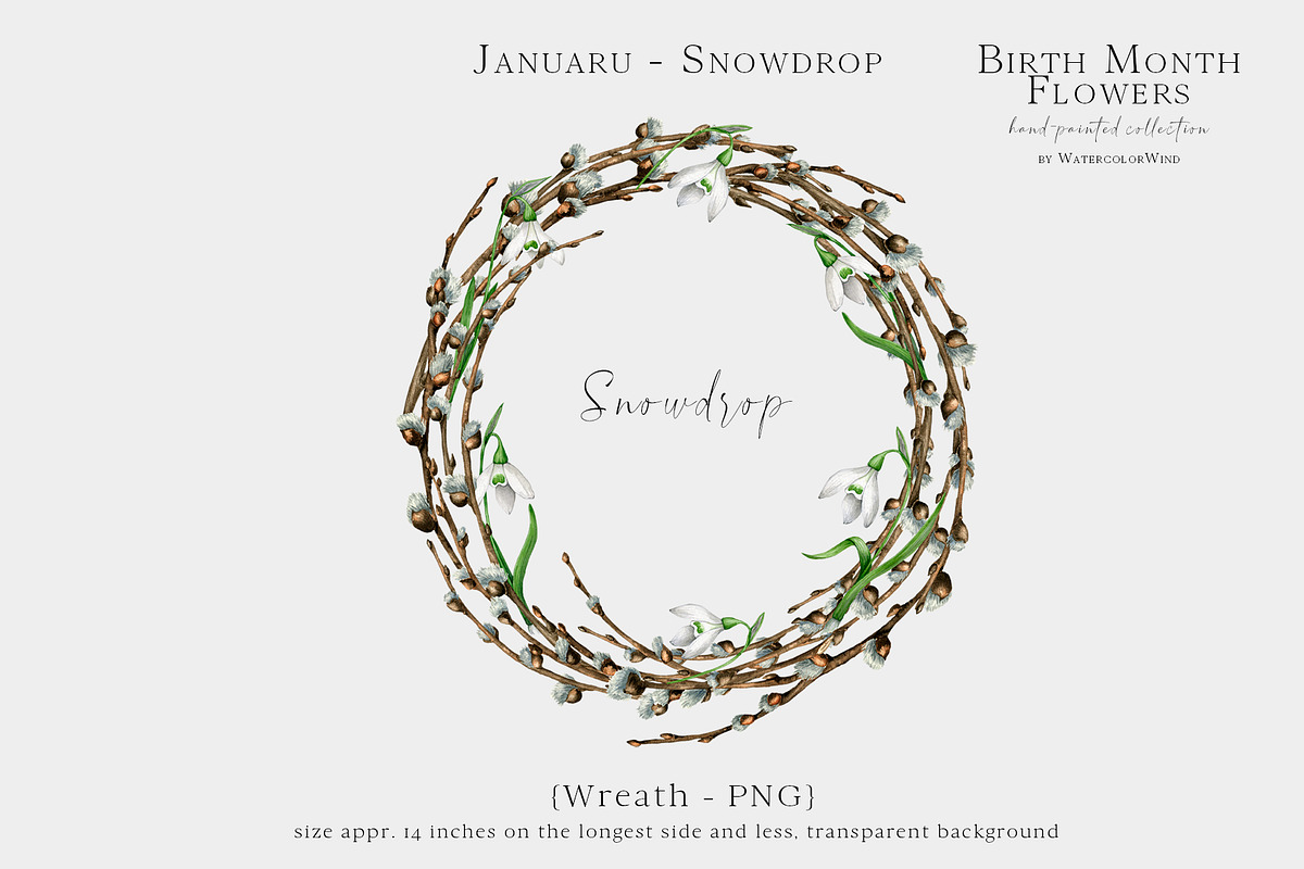 Snowdrop Birth Month Flower Clipart, an Illustration by Ksenia Shmakova (Photo 8 of 9)