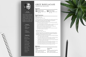 Professional Resume Template/ CV