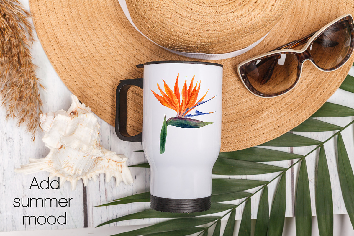 Strelitzia Tropical Watercolor PNG, a Decorative Illustration by Anntre (Photo 6 of 6)