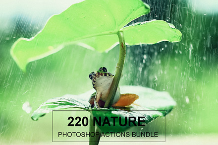 Nature Photoshop Actions 220 Bundle