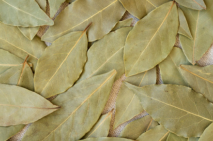 Raw Bay Leaves on cloth, overhead view. Flat lay, top view, from, a Food & Drink Photo by LiudmylaChuhunova