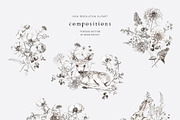 WILD GARDEN Pencil Sketch Clipart, a Decorative Illustration by Muse Artist (Thumbnail 4 of 14)