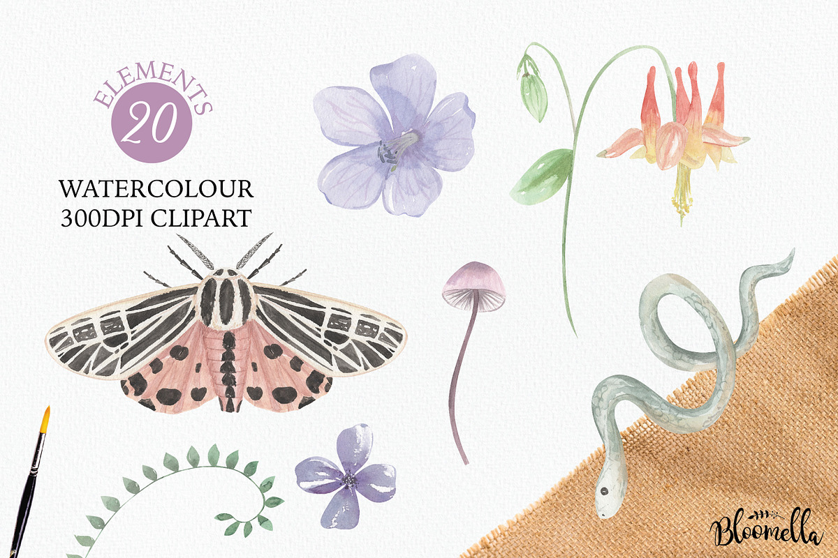 Cosmic Florals Celestrial Magical, a Decorative Illustration by Bloomella (Photo 3 of 4)