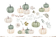 Sage and White Pumpkins Clipart, an Illustration by Sunflower Day Love (Thumbnail 1 of 4)