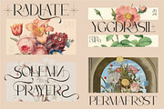 Modern Serif & Sans Serif Bundle, a Serif Font by Flawless And Co (Thumbnail 6 of 12)