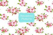 SET / Sakura blossom in various kind, an Illustration by Nadin_Lebedeva (Thumbnail 6 of 7)