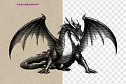 Dragon Heraldry Engraving Collection, an Object Illustration by Kaizla03 (Thumbnail 3 of 4)