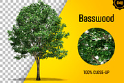 CUT OUT TREES - 60 PCS BUNDLE, a Packaging Mockup by 3DSTORE (Thumbnail 41 of 63)