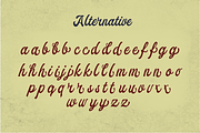 Ekshada Script + BONUS ! (UPDATED), a Script Font by Sitintahitam (Thumbnail 10 of 12)