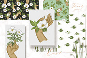 Cherokee rose clipart pattern set, a Decorative Illustration by Yelloo Fish (Thumbnail 21 of 21)