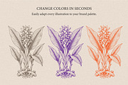 30 Medicinal Herbs & Plants, a Decorative Illustration by Gonez Studio (Thumbnail 12 of 19)