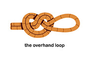 Knots, loops, tied ropes set, an Object Illustration by Good Studio (Thumbnail 4 of 21)