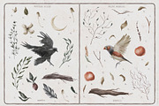 Stranger Forest Collection, an Animal Illustration by Julia Dreams (Thumbnail 4 of 12)
