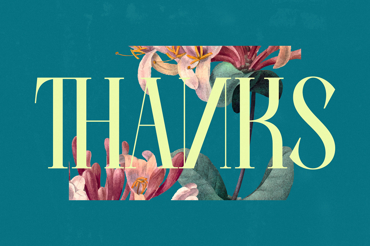 Balliome Modern Serif Typeface, a Serif Font by timelesstype.co (Photo 20 of 20)