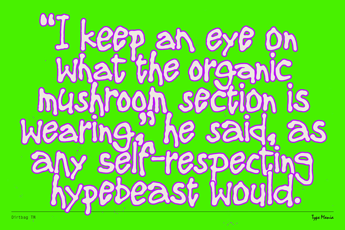 Dirtbag TM – Loose Script, a Handwritten Font by Type Mania (Photo 7 of 11)