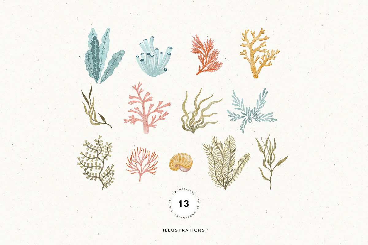 Watercolor Sea collection, an Animal Illustration by annartdreams (Photo 10 of 13)