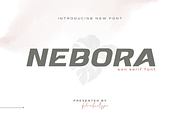 Nebora, a Sans Serif Font by productype1 (Thumbnail 1 of 16)