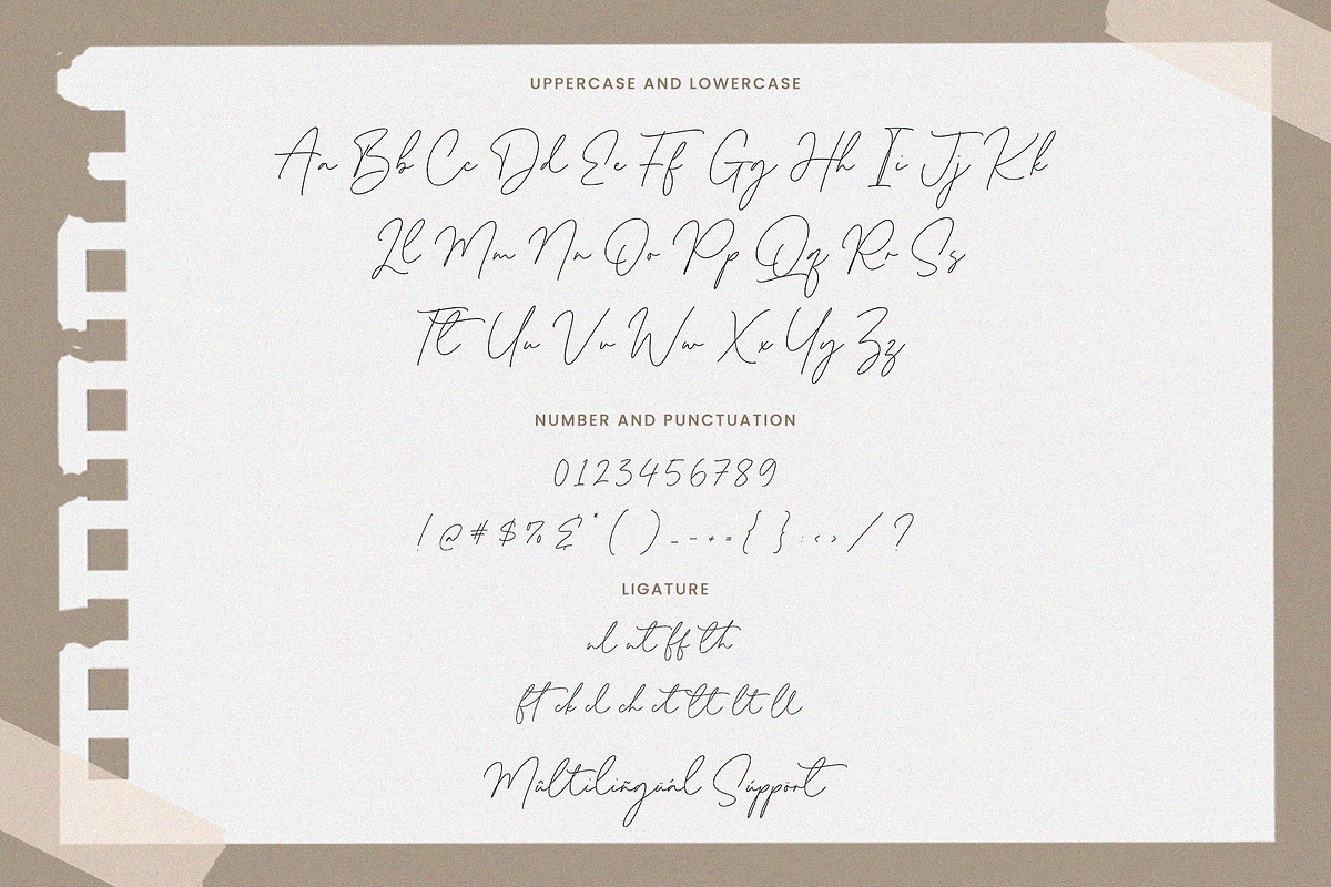 Homeland - Handwritten Script Font, a Handwritten Font by Timurtype (Photo 6 of 7)