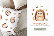 Woodland. Cute Watercolor Hedgehog, a Decorative Illustration by MilaCreator (Thumbnail 1 of 5)