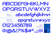 Neutrix, a Sans Serif Font by Black Studio (Thumbnail 14 of 16)