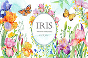 Iris watercolor set, a Decorative Illustration by MitrushovaArt (Thumbnail 1 of 13)