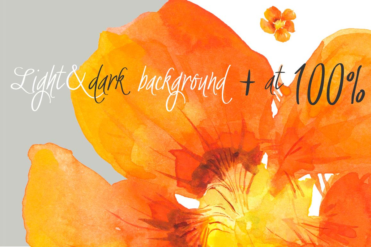 0405 Indian Summer, a Work Illustration by watercolorwild.graphics (Photo 3 of 9)