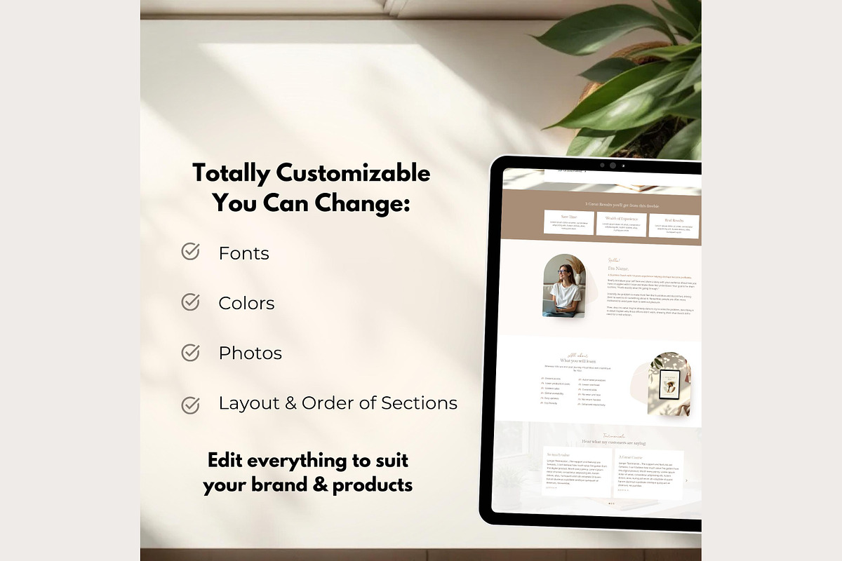 Systeme.io Brown Lead Funnel, a Landing Page Template by Hayley's Digital Hub (Photo 5 of 10)
