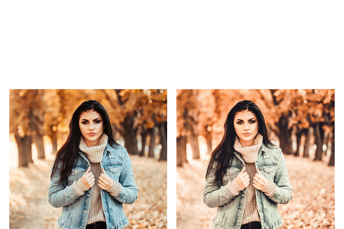 10 Pumpkin Pie Lightroom Presets, a Preset Add-On by MockTurtleStudio (Photo 8 of 8)