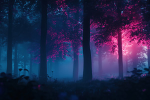 A mystical forest scene with tall trees shrouded in fog. The atmosphere is enha, a Photo by Textures & Backgrounds