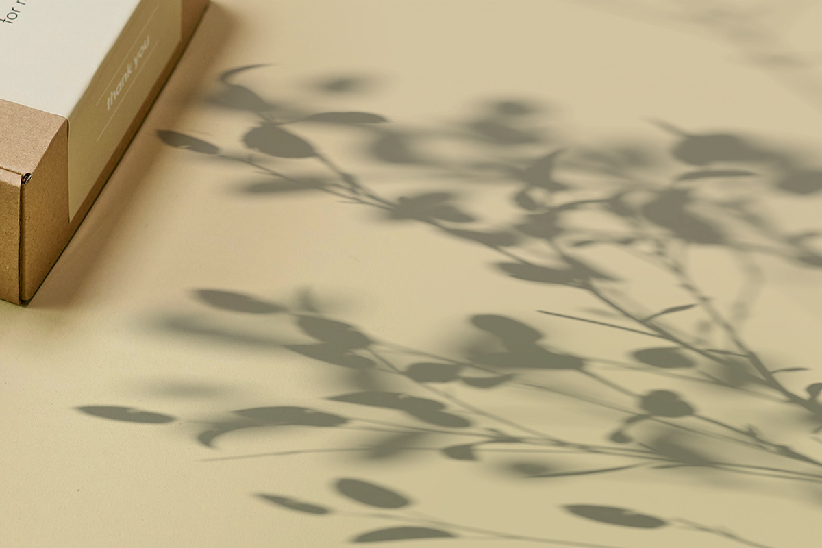 Plant Shadow Backdrops Video Bundle, a Mockup by rebrandy (Photo 5 of 24)