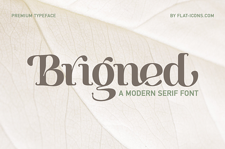 Brigned | Modern Serif Font