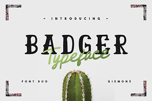 Badger Typeface - 50% OFF, a Slab Serif Font by giemons™