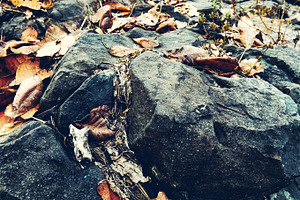 Autumn On Rocks