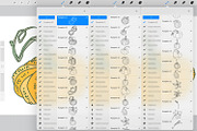 Pumpkins Stamp brushes, a Brush Add-On by ViktoriArt (Thumbnail 4 of 8)