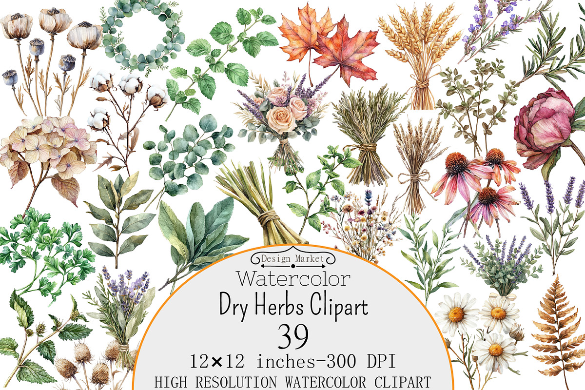 Watercolor Dry Herbs Clipart, a Seasonal Illustration by Design Market (Photo 1 of 4)